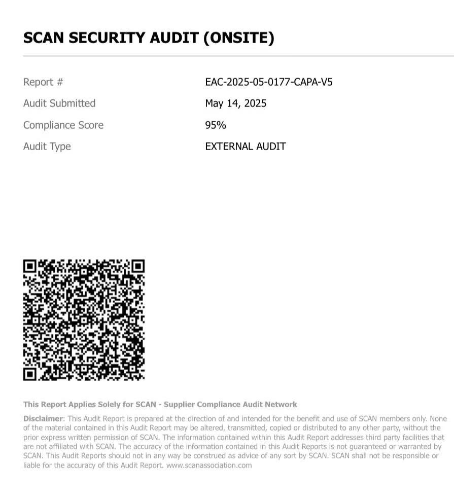 SCAN Security Audit